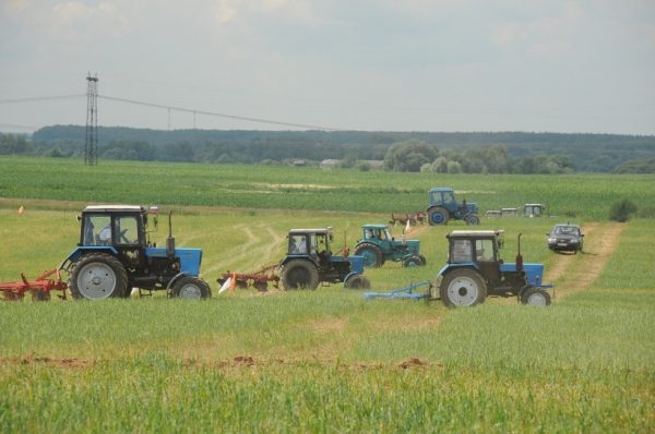 Около 80% сельхозземель ввели в оборот благодаря слаженной работе властей Подмосковья