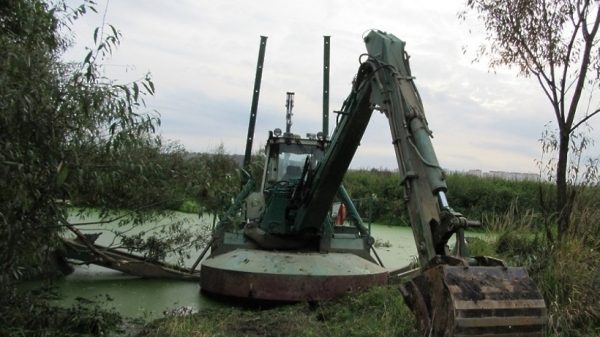 ОНФ держит на контроле расчистку ручья возле Бутовского полигона в Подмосковье