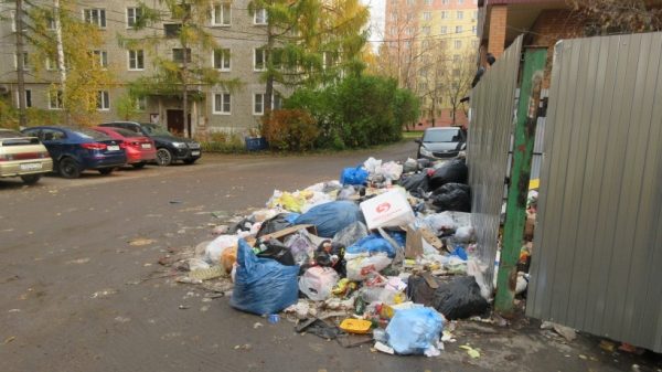 Госадмтехнадзор потребовал ликвидировать более 140 свалок в Егорьевске