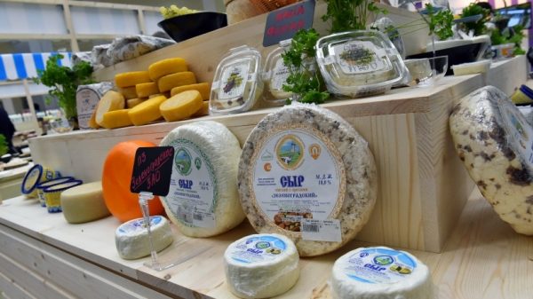 Производителям сыра в области начнут выдавать гранты в ноябре 2017 года