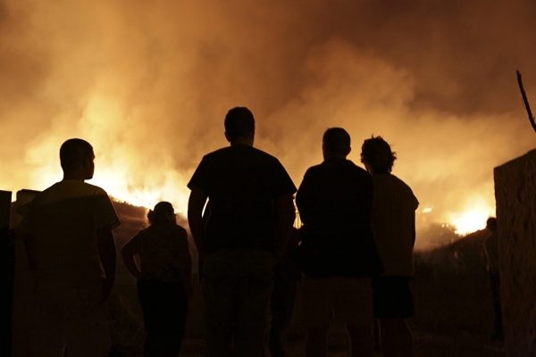 Глава МЧС предложил Португалии помощь в тушении лесных пожаров