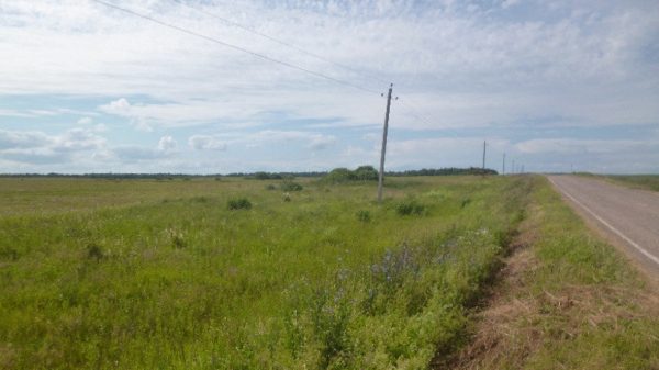  Более 65 тыс. га земли планируют ввести в сельхозоборот в Подмосковье в 2018 году
