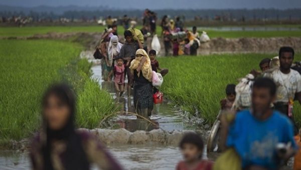 МПС принял резолюцию о необходимости прекращения преследования рохинджа