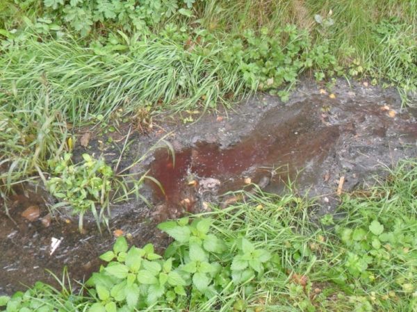 Минэкологии оштрафовало коммунальщиков за загрязнение реки в Одинцовском районе