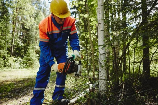Свыше 2,3 тыс. деревьев вырубили в Подмосковье в ходе подготовки электросетей ФСК в 2017 году
