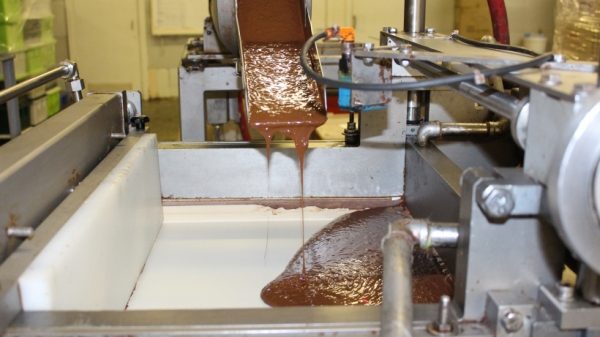 Производство какао и шоколадной пасты запустят в Рузском городском округе