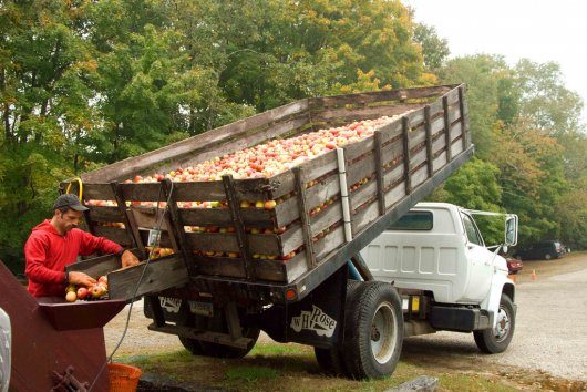 Автомобильная загадка: Сколько яблок может перевезти грузовик