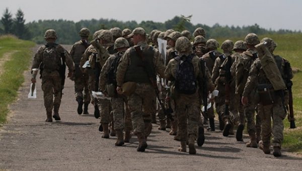 Российский сенатор прокомментировал заявления о мощи украинской армии