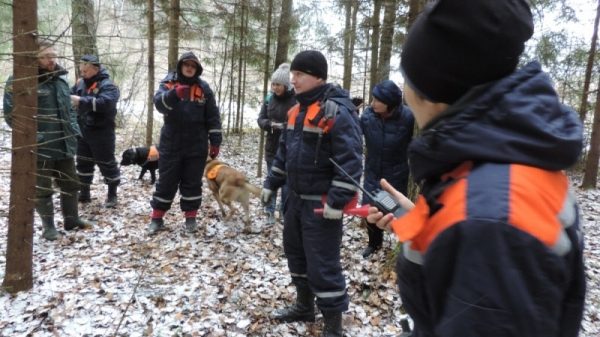 Спасатели вывели из лесов Подмосковья почти 900 заблудившихся с начала 2017 года