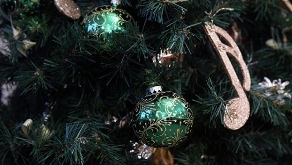 “На вид как наша жизнь”: в Сети высмеяли новогоднюю елку в центре Киева