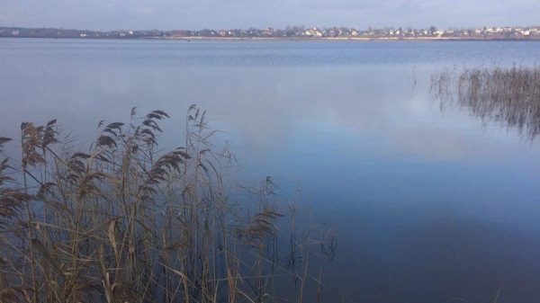 Новую охраняемую природную зону создали на реке Оке в Коломне 