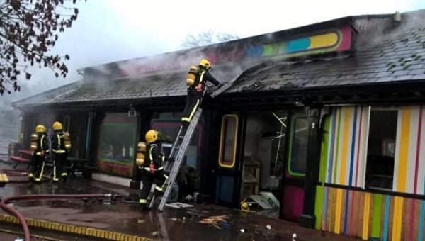 При пожаре в лондонском зоопарке пострадали восемь человек