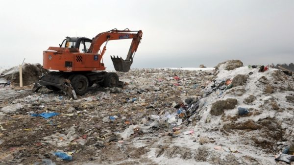 Свалки мусора начали ликвидировать в лесах Пушкинского района по настоянию Минэкологии<span id=