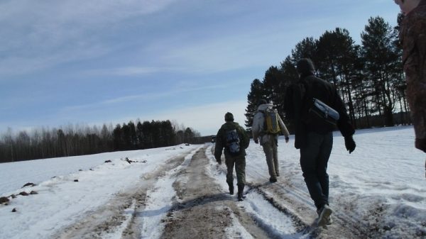 Зимний маршрутный учет животных в охотничьих угодьях Подмосковья стартует 1 января