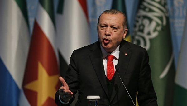 Эрдоган раскритиковал твит главы МИД ОАЭ о генерале Фахреддине-паше