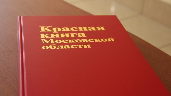 В новое издание Красной книги Подмосковья включены 674 вида животного и растительного мира