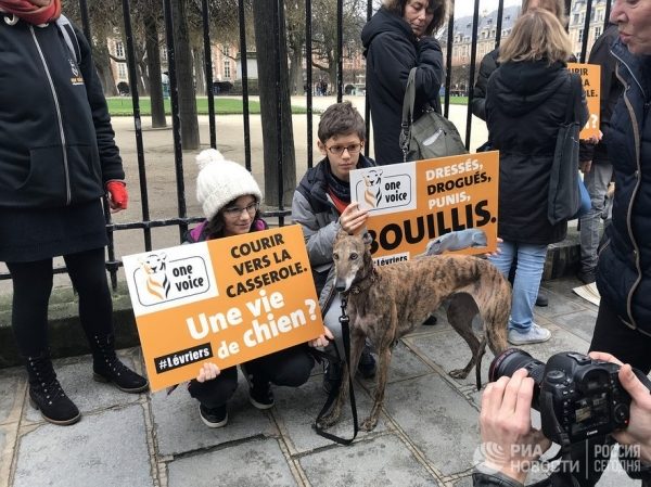 В Париже состоялась акция  против жестокого обращения с собаками-левретками