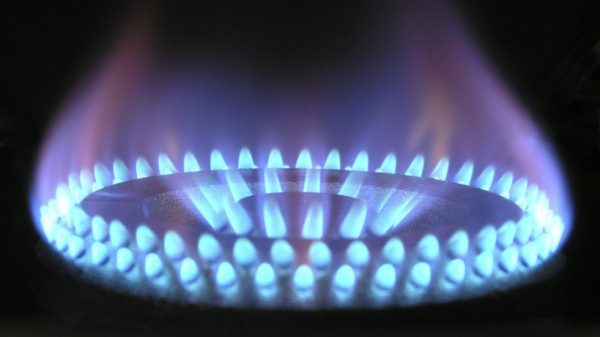 Управкомпания в Раменском исправила нарушения в содержании внутридомового газового оборудования