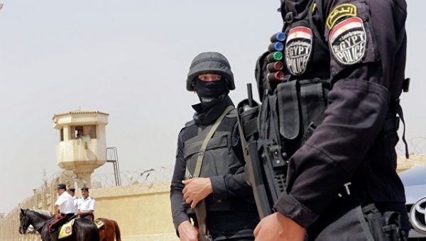 На севере Синайского полуострова ликвидировали восемь экстремистов