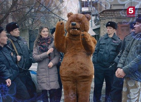 Чтобы эфир был веселее: зрителей Пятого канала развлекают медведи