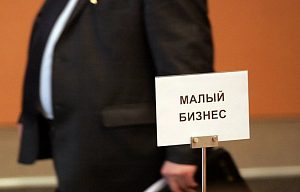 Меры государственной поддержки субъектов малого и среднего предпринимательства в Московской области на 2018 год