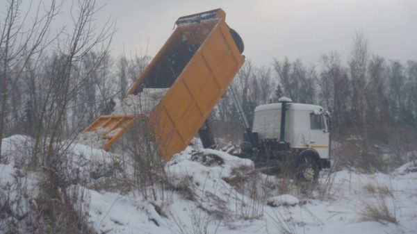 Областной Госадмтехнадзор пресек 60 попыток сброса снега в неустановленных местах