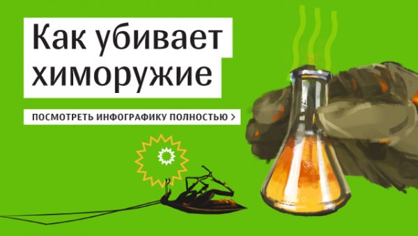 В посольстве России раскритиковали книгу о Скрипале