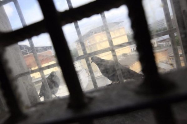 Пожизненный срок грозит наркодилеру, которого задержали с 2 кг спайса в Каширском районе