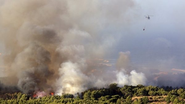 В Португалии вспыхнул крупный лесной пожар