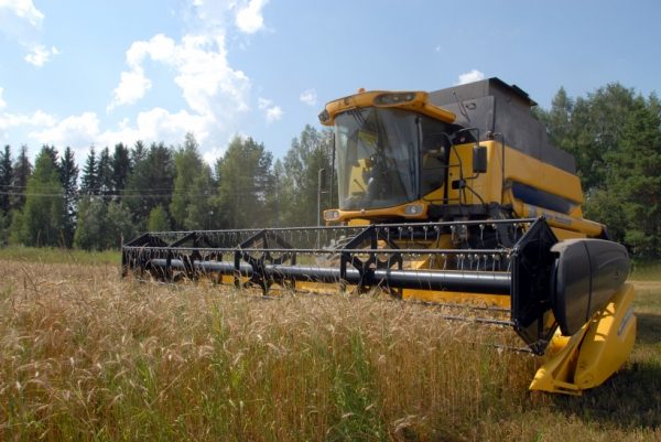 Урожай зерна в Московской области превысит 400 тыс. тонн в 2018 году