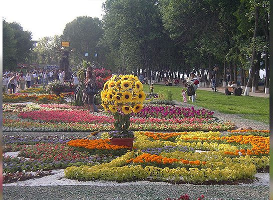 Что изменится в Солнечногорске к концу 2018 года — статья