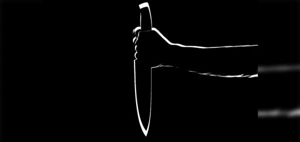 Убийца в Солнечногорске, нанесший жене 48 ударов ножом, сядет на девять лет