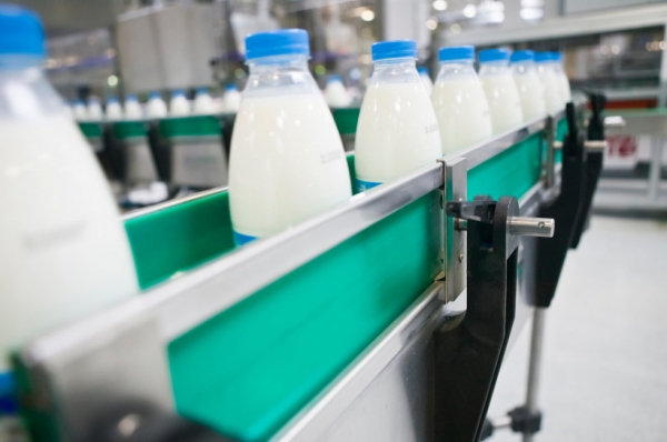 Более 750 вопросов задали в Подмосковье по горячей линии о выкладке молочных товаров в магазинах