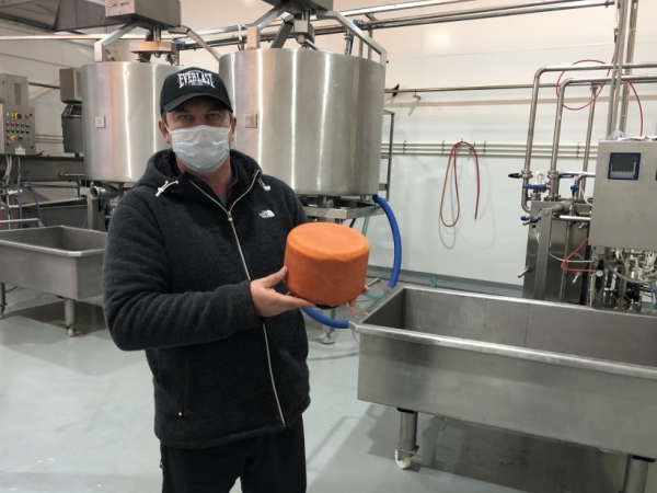 Новая сыроварня в городском округе Шаховская сможет производить до 200 тонн сыра в год