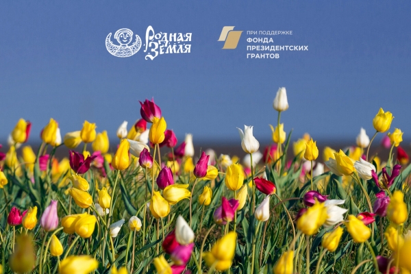 Солнечногорский фонд «Родная земля» объявил о старте всероссийского фотоконкурса