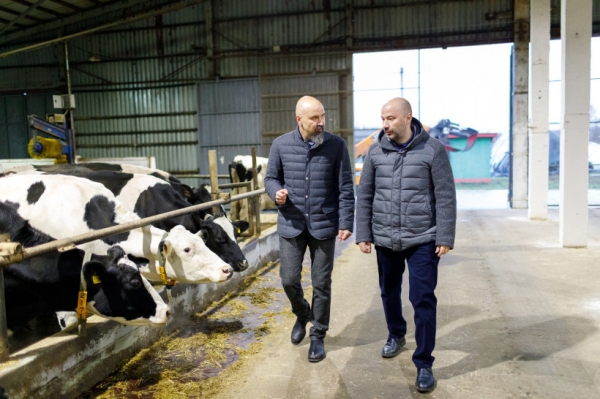 Подмосковные фермеры стали поставлять свою продукцию в Татарстан и на Урал