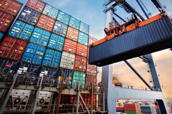 Объем экспортированной продукции АПК Подмосковья превысил 700 тысяч тонн