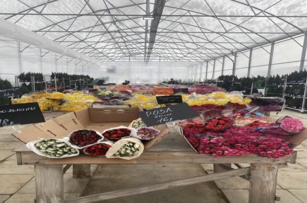 Тепличный комплекс в Раменском городском округе Подмосковья запустил продажу цветов