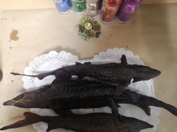Более 3,5 тыс. кг осетровой рыбы произвёл фермер из Коломны