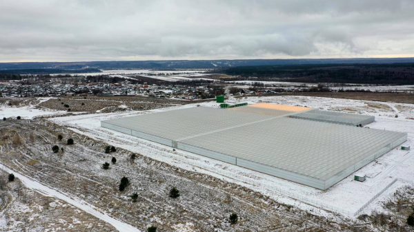 Тепличный комплекс с объёмом производства более 4 тыс. тонн овощей введен в эксплуатацию в подмосковном Серпухове