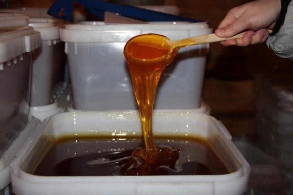 Более 1,5 тыс. исследований проб мёда и продуктов пчеловодства провели в Московской области