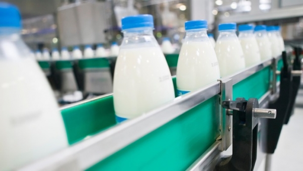 В Подмосковье стартовала добровольная маркировка молочной продукции