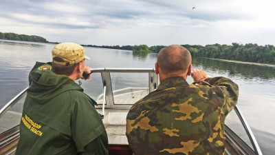 Весенний сезон охоты на пернатую дичь в северной части Подмосковья начнется 10 апреля