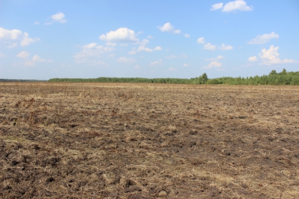 На портале госуслуг Подмосковья теперь можно подать заявление на внесение изменений в Перечень особо ценных продуктивных сельскохозяйственных угодий области