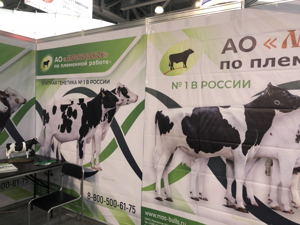 Свыше 10 компаний из Московской области принимают  участие в выставке «Агрос–2021»