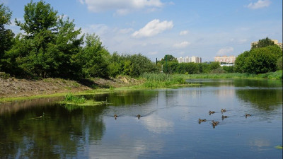 Определены водоемы в Московской области, которые очистят от мусора в этом году