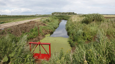 Порядка 135 млн рублей направили на мелиорацию сельхозземель Подмосковья в 2021 году