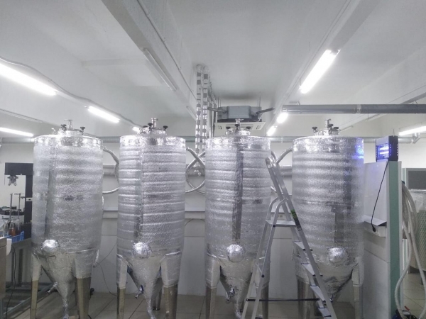Завод по производству напитков на основе чайного гриба заработает в Подмосковье в 2022 году