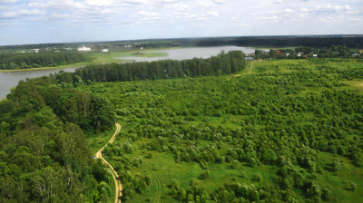 Почву на территории лесного фонда Подмосковья готовят к осенним посадкам