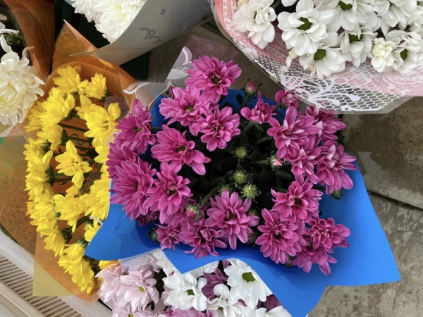 Более 4,5 млн штук цветов поставят тепличные комплексы Подмосковья в торговые точки к 1 сентября